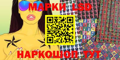 мяу мяу мука Гатчина