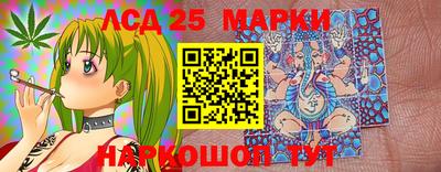 гидропоника Котовск