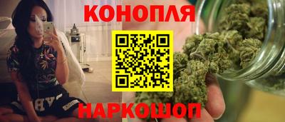 мяу мяу мука Гатчина