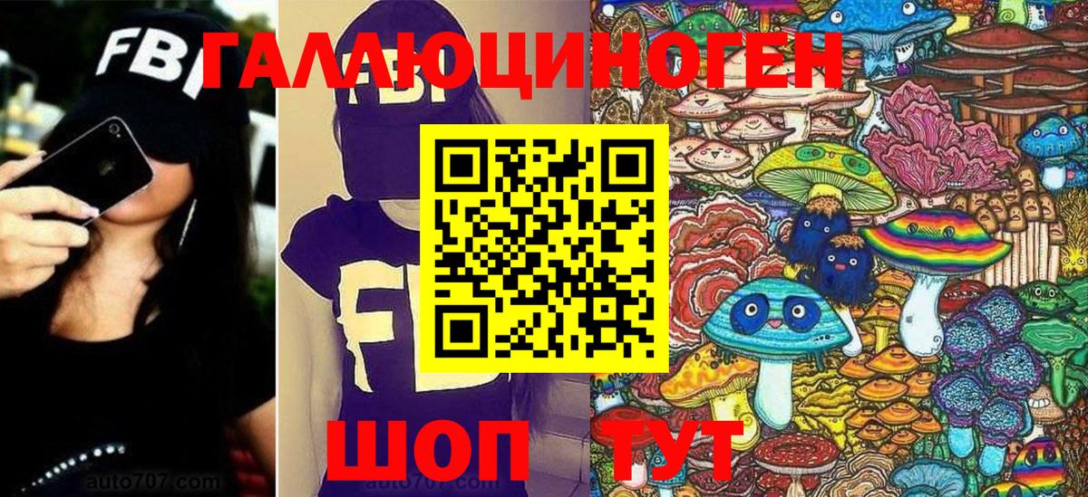 Псилоцибиновые грибы Psilocybe Сарапул