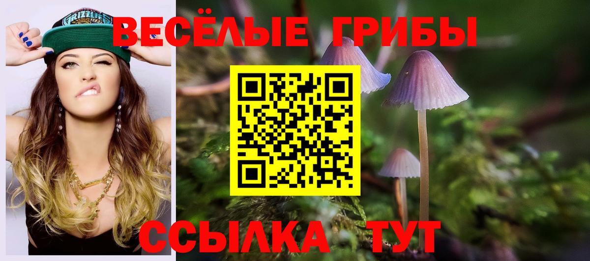 Сарапул  наркотики  Вход с VPN  Псилоцибиновые грибы Psilocybine cubensis 